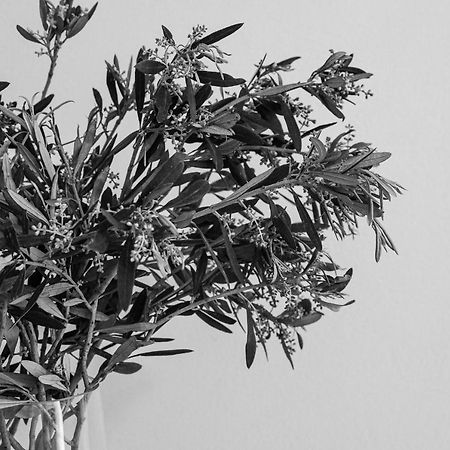 Apartmán Sea View Casa Naxos City Exteriér fotografie