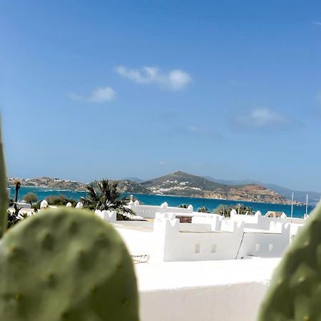 Apartmán Sea View Casa Naxos City Exteriér fotografie